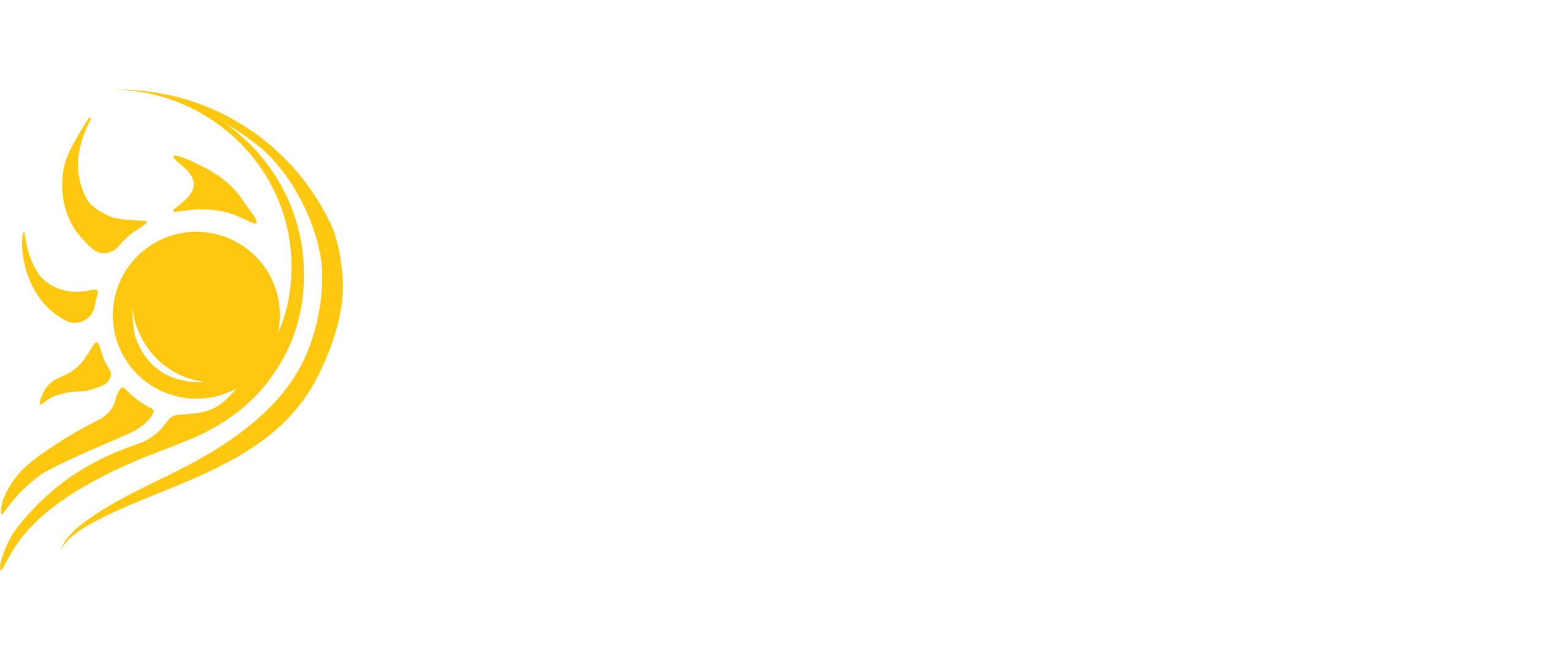 Chalmers Solar Team